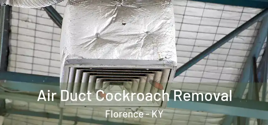 Air Duct Cockroach Removal Florence - KY