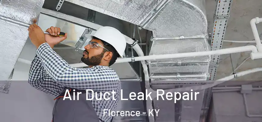  Air Duct Leak Repair Florence - KY