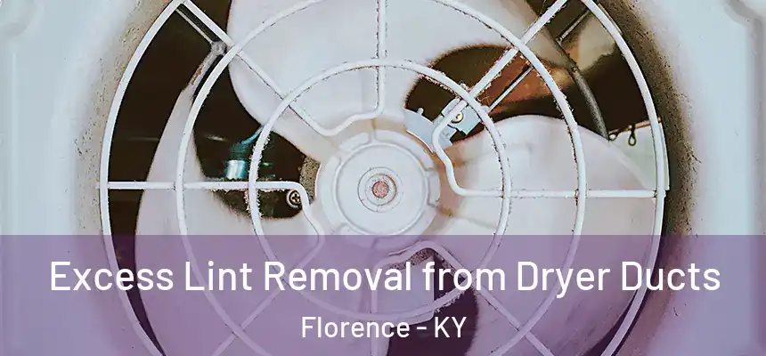  Excess Lint Removal from Dryer Ducts Florence - KY