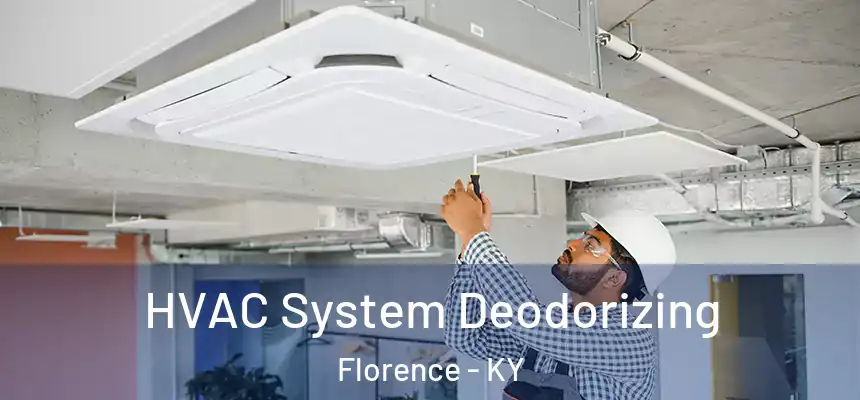 HVAC System Deodorizing Florence - KY