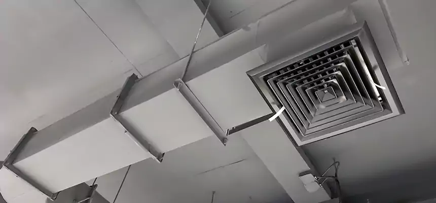 Our Pest Removal From Ducts Services in Florence, KY