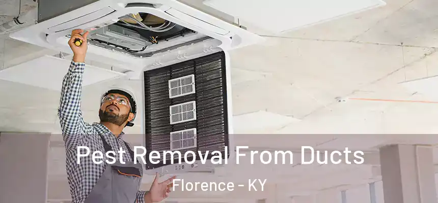  Pest Removal From Ducts Florence - KY