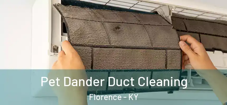  Pet Dander Duct Cleaning Florence - KY