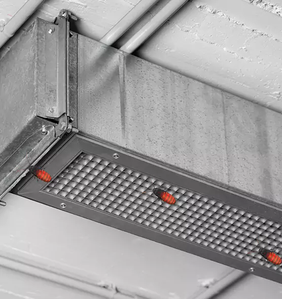 About Air Duct Cockroach Removal in Florence, KY