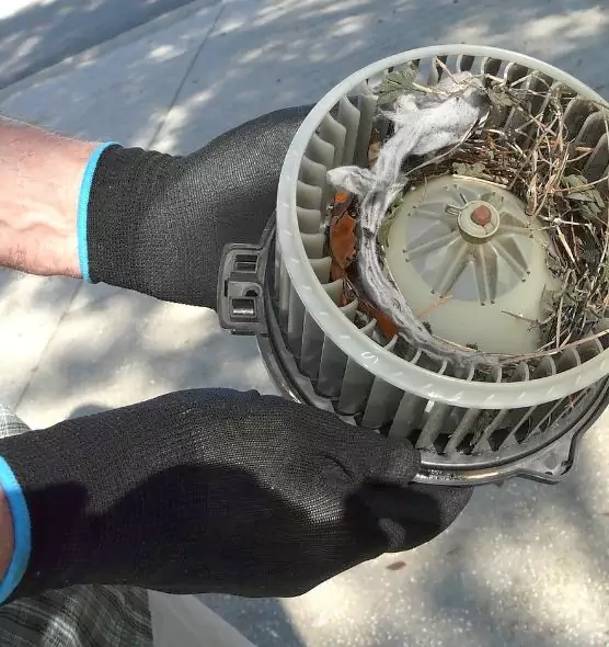 About Air Duct Mice Removal in Florence, KY