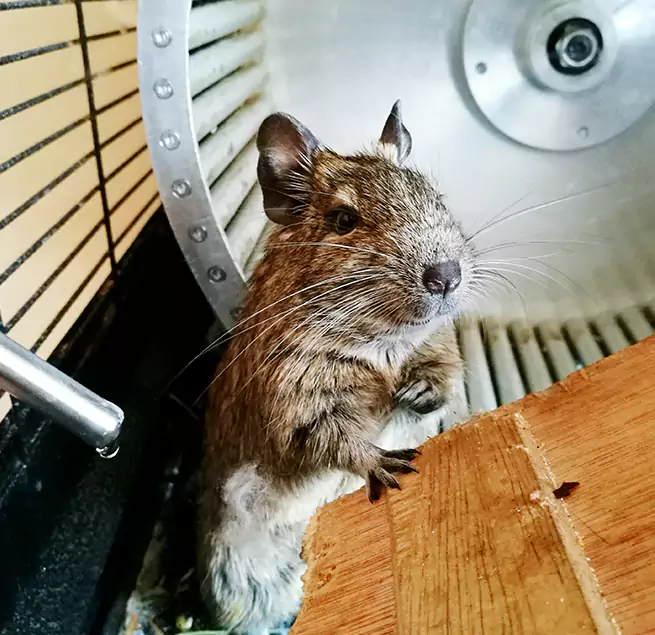 Why Homeowners & Businesses Trust Us Florence, KY