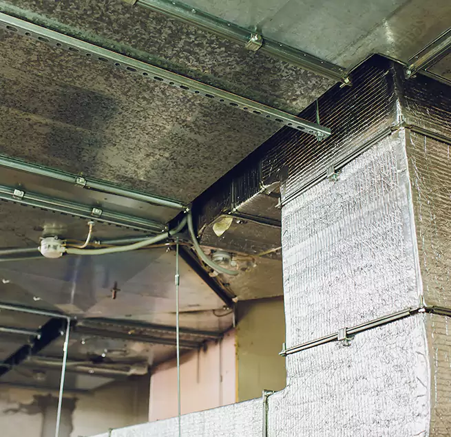 Why Homeowners & Businesses Trust Us in Florence, KY?